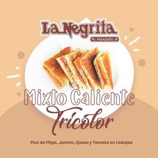 MIXTO CALIENTE TRICOLOR